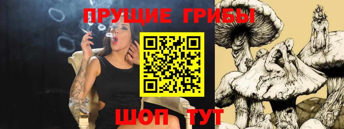 Псилоцибиновые грибы мухоморы Кстово