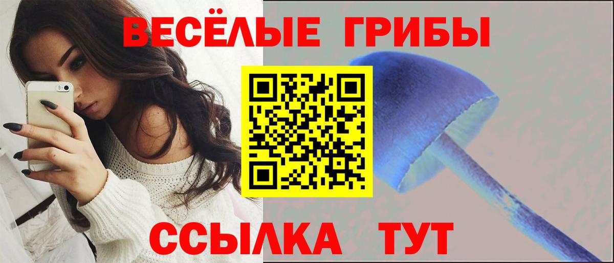 Кстово  Псилоцибиновые грибы Psilocybe  Вход с VPN  Галлюциногенные грибы мицелий 